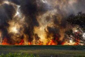 Wildfires spread in southern France; hundreds of firefighters mobilized in Var and Corsica